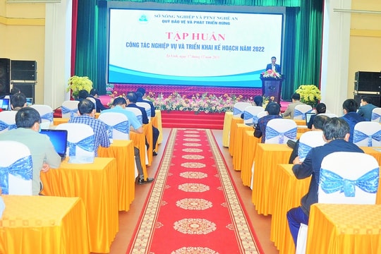 Quỹ Bảo vệ - Phát triển rừng, tập huấn công tác nghiệp vụ và triển khai kế hoạch năm 2022