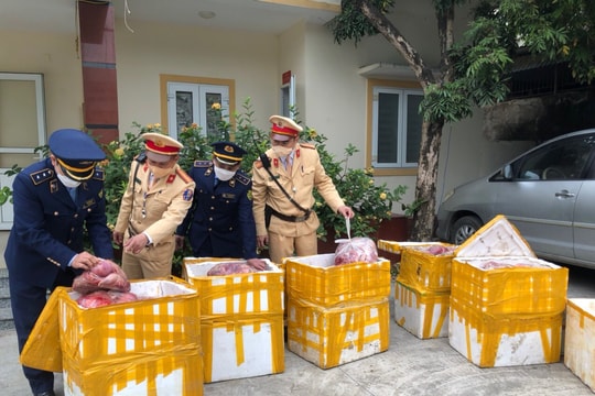 Bắt giữ xe tải vận chuyển 850 kg thịt lợn và thịt gà không có nguồn gốc