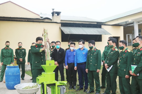 Tỉnh đoàn Nghệ An phối hợp chuyển giao kỹ thuật nhân bản và ứng dụng công nghệ sinh học IMO 