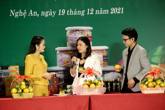 Nghệ An tổ chức livestream quảng bá, tiêu thụ cam Vinh và các đặc sản xứ Nghệ