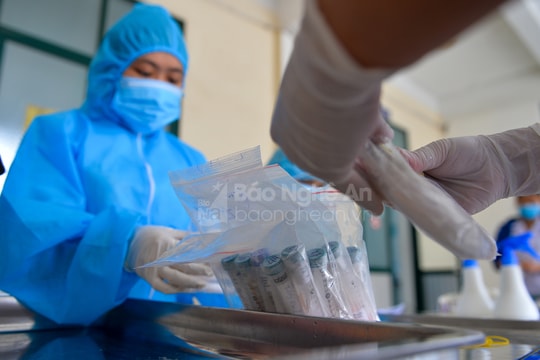 Chiều 19/12, Nghệ An ghi nhận 71 ca nhiễm Covid-19 mới, trong đó có 14 ca cộng đồng