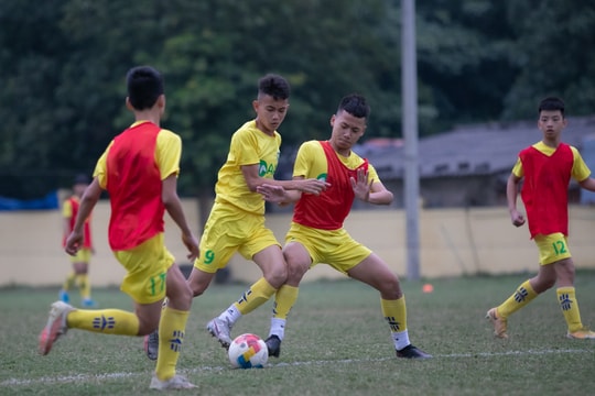 U13 SLNA tự tin bước vào giải với tâm thế của nhà vô địch