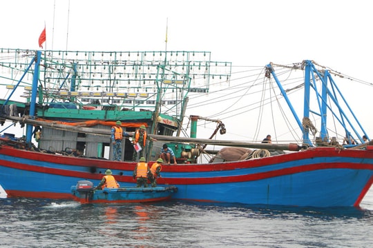 Nghệ An sẽ tiếp tục làm gì để gỡ được 'thẻ vàng' châu Âu trong khai thác hải sản?