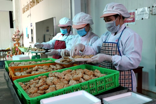 Nghệ An: Nhiều việc làm hút lao động thời vụ cuối năm