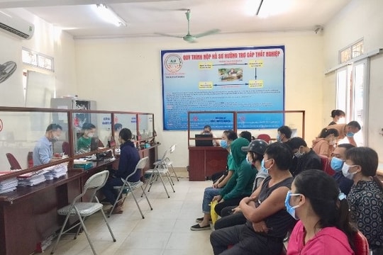 Người lao động đã gửi hồ sơ đề nghị hưởng hỗ trợ Bảo hiểm thất nghiệp cần liên hệ trước ngày 30/12