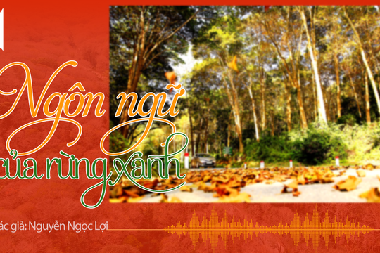 Tản văn hay: Ngôn ngữ của rừng xanh (Nhà văn Nguyễn Ngọc Lợi)