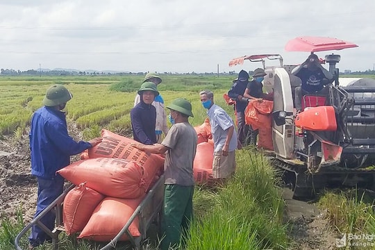 Ngành Nông nghiệp làm tốt vai trò bệ đỡ nền kinh tế trong khó khăn do dịch Covid-19
