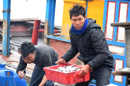 Ngư dân Diễn Châu ra khơi sản xuất đầu năm mới 