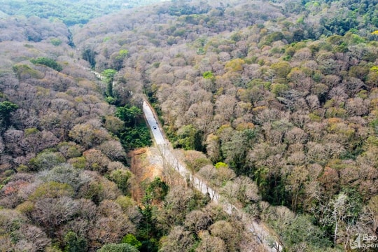 Nghệ An triển khai thành công 3 mô hình du lịch sinh thái gắn với bảo vệ và phát triển rừng bền vững