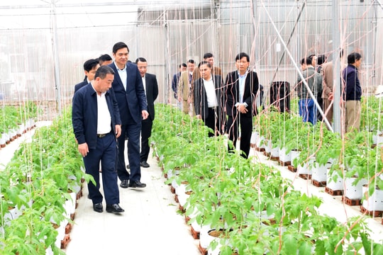 Sắc diện nông thôn mới Nghệ An