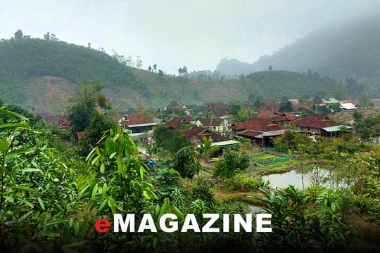 Thêm xanh đất Quế…