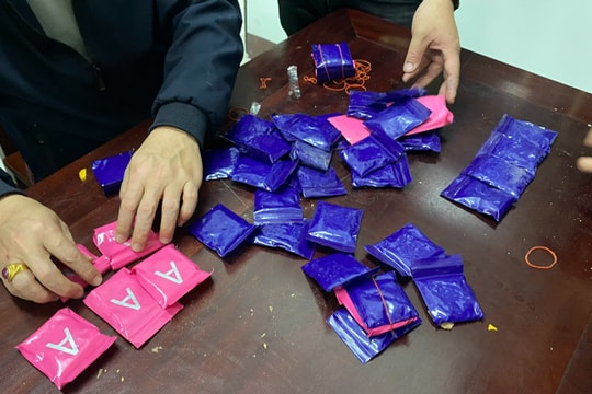 'Ông trùm' đường dây ma túy xuyên quốc gia, giấu 'chất trắng' dưới gốc cây