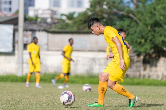 'Hợp đồng trọn đời' và cách làm của Sông Lam Nghệ An