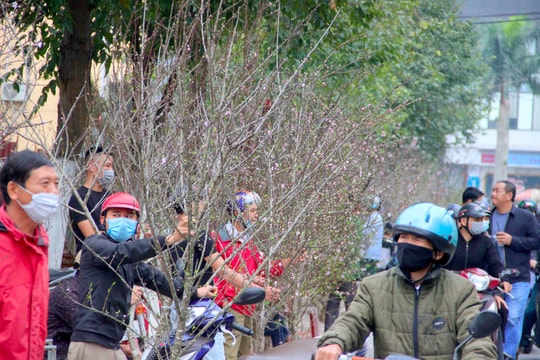 10 địa điểm được tổ chức kinh doanh hoa, cây cảnh Tết ở TP.Vinh