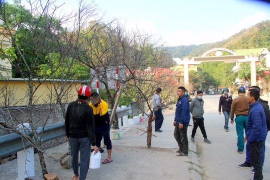 Sôi động chợ đào đá lớn nhất Nghệ An