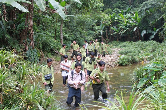 Những thành quả trong công tác bảo vệ, phát triển rừng ở Ban quản lý Khu BTTN Pù Huống