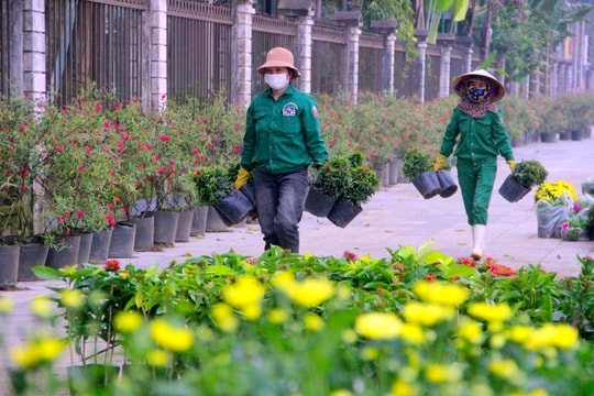 Gấp rút hoàn thành các tuyến đường hoa Tết tại TP. Vinh