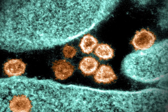 Omicron là sự kết thúc 'hợp lý' cho đại dịch ở châu Âu?