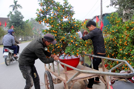 Nghề vận chuyển ngày cận Tết