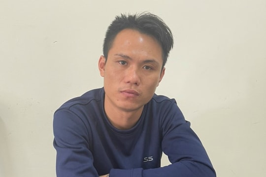 Bắt kẻ chặt phá quất của tiểu thương