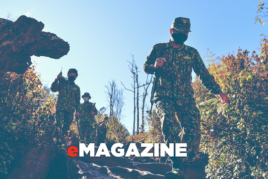 Sắc Xuân biên cương