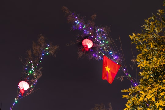 Sự  'cách tân'  cây nêu ngày tết ở xứ Nghệ!