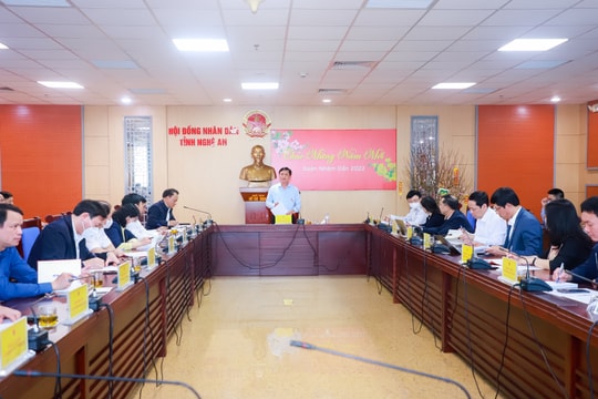 HĐND tỉnh Nghệ An sẽ giám sát dự án treo, chậm tiến độ, sử dụng đất không đúng mục đích