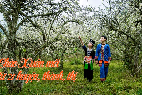 Chào Xuân mới từ 21 huyện, thành, thị 