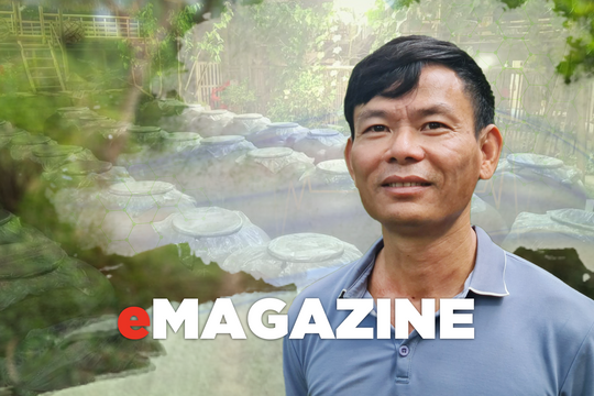 Chuyện người 'hồi sinh' rượu men lá Con Cuông