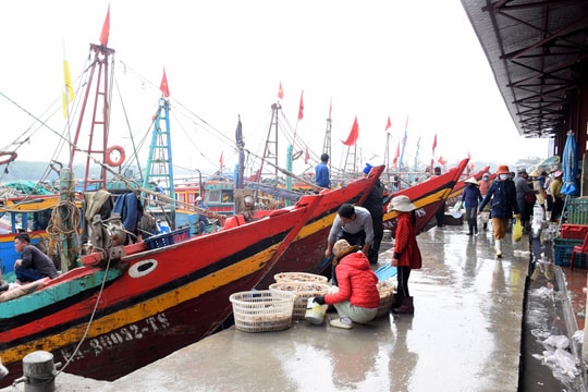 Chuyến biển cuối năm của ngư dân Nghệ An