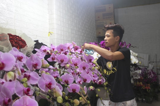Kiếm 5-7 triệu/ ngày, nghề cắm lan Tết có 'dễ ăn'?