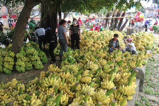 Thân thương chợ quê Nghệ An ngày Tết