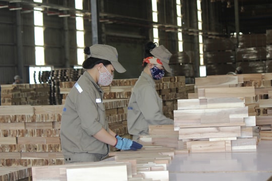 Hướng dẫn quản lý vệ sinh lao động và sức khỏe người lao động