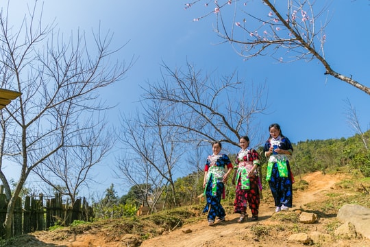 Những nẻo Xuân quê hương Nghệ An