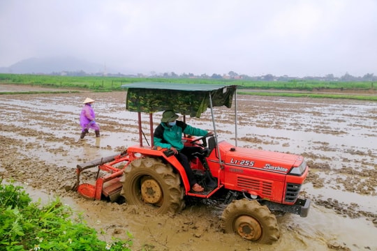 Nông dân Nghệ An nhộn nhịp ra đồng sau Tết