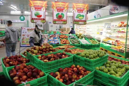 Nghệ An: Hàng hóa dịp Tết phong phú, sức mua tăng khoảng 30%