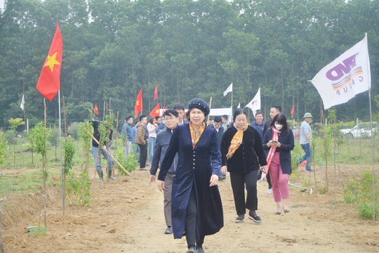 Tập đoàn Thiên Minh Đức sẽ trồng hơn 6.000 cây xanh trong dịp Tết trồng cây