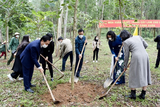 Ngành Văn hóa và Thể thao Nghệ An phát động hưởng ứng ‘Tết trồng cây’
