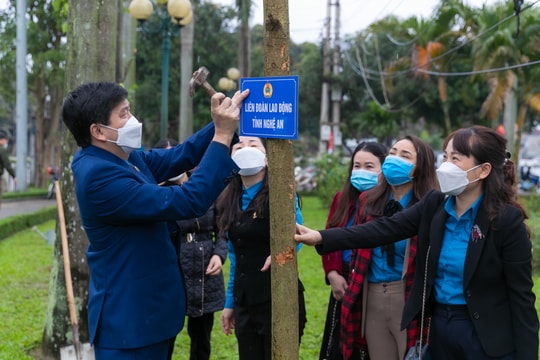 Liên đoàn Lao động tỉnh hưởng ứng Tết trồng cây Xuân Nhâm Dần 2022