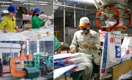 Chính phủ vừa phê duyệt chương trình 'Hỗ trợ doanh nghiệp tư nhân kinh doanh bền vững'