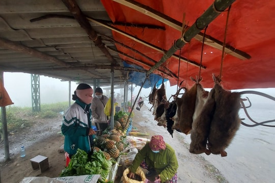 Đầu xuân đi chợ cổng trời