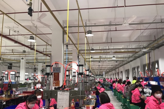 Tất cả công nhân Công ty TNHH Viet Glory đã đi làm trở lại
