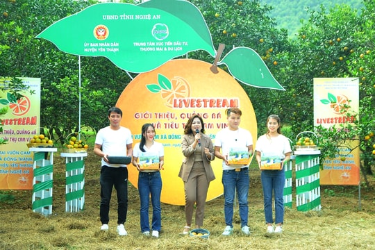 'Rào cản' khiến sản phẩm Nghệ An khó bán được hàng trên sàn thương mại điện tử