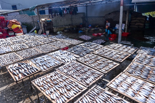 Thơm lừng làng nghề cá nướng Diễn Vạn ở Nghệ An