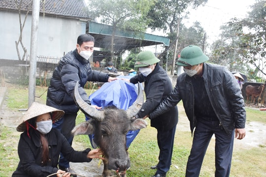 Hội Nông dân tỉnh trao tặng vật tư chống rét cho vật nuôi tại huyện Con Cuông