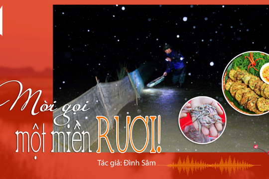 Tiếng Nghệ: Đặc sản sông Lam: Mời gọi một miền rươi