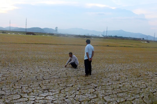 Tìm giải pháp nâng cao năng lực phòng, chống thiên tai khu vực miền Trung và Tây Nguyên