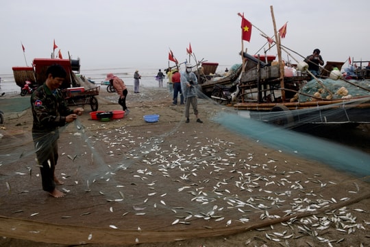 Ngư dân Diễn Châu vào mùa đánh cá trích