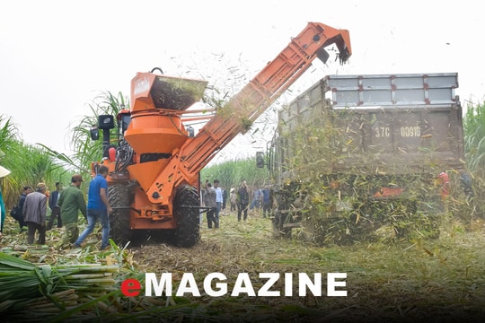 Để cây mía 'ngọt' hơn với nhà nông - Bài cuối: Tạo cú hích từ kinh tế nông nghiệp tuần hoàn