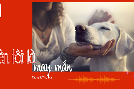 Đọc truyện đêm khuya: Truyện ngắn ấn tượng về cuộc đời của chú chó Lucky 